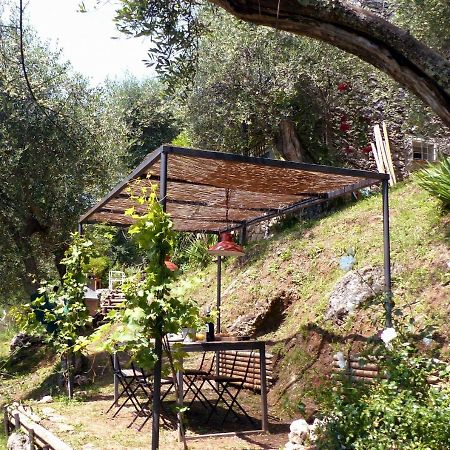 Vila Il Giaggiolo Camaiore Exteriér fotografie