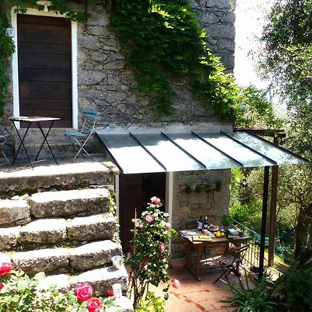 Vila Il Giaggiolo Camaiore Exteriér fotografie