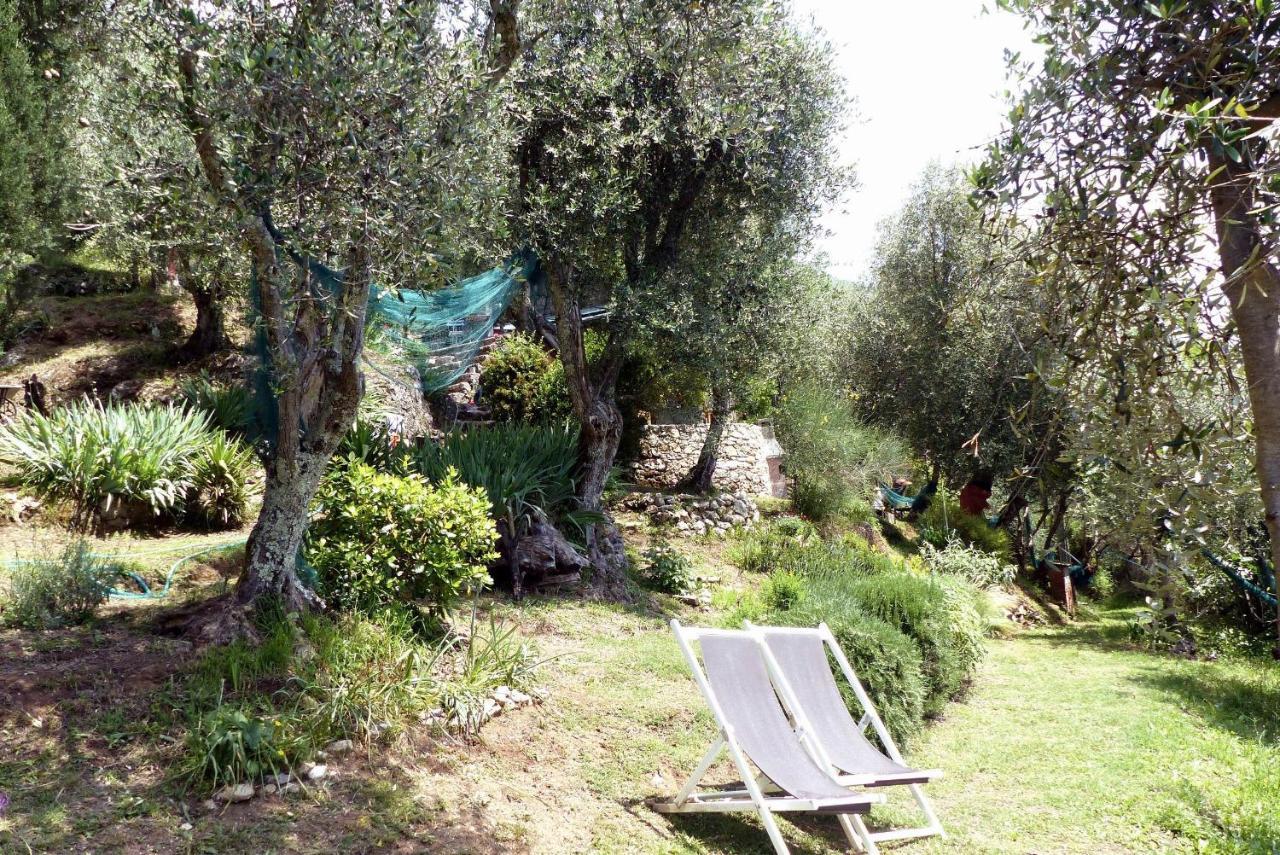 Vila Il Giaggiolo Camaiore Exteriér fotografie