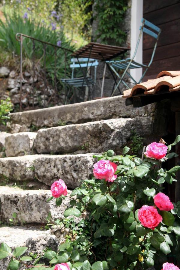 Vila Il Giaggiolo Camaiore Exteriér fotografie