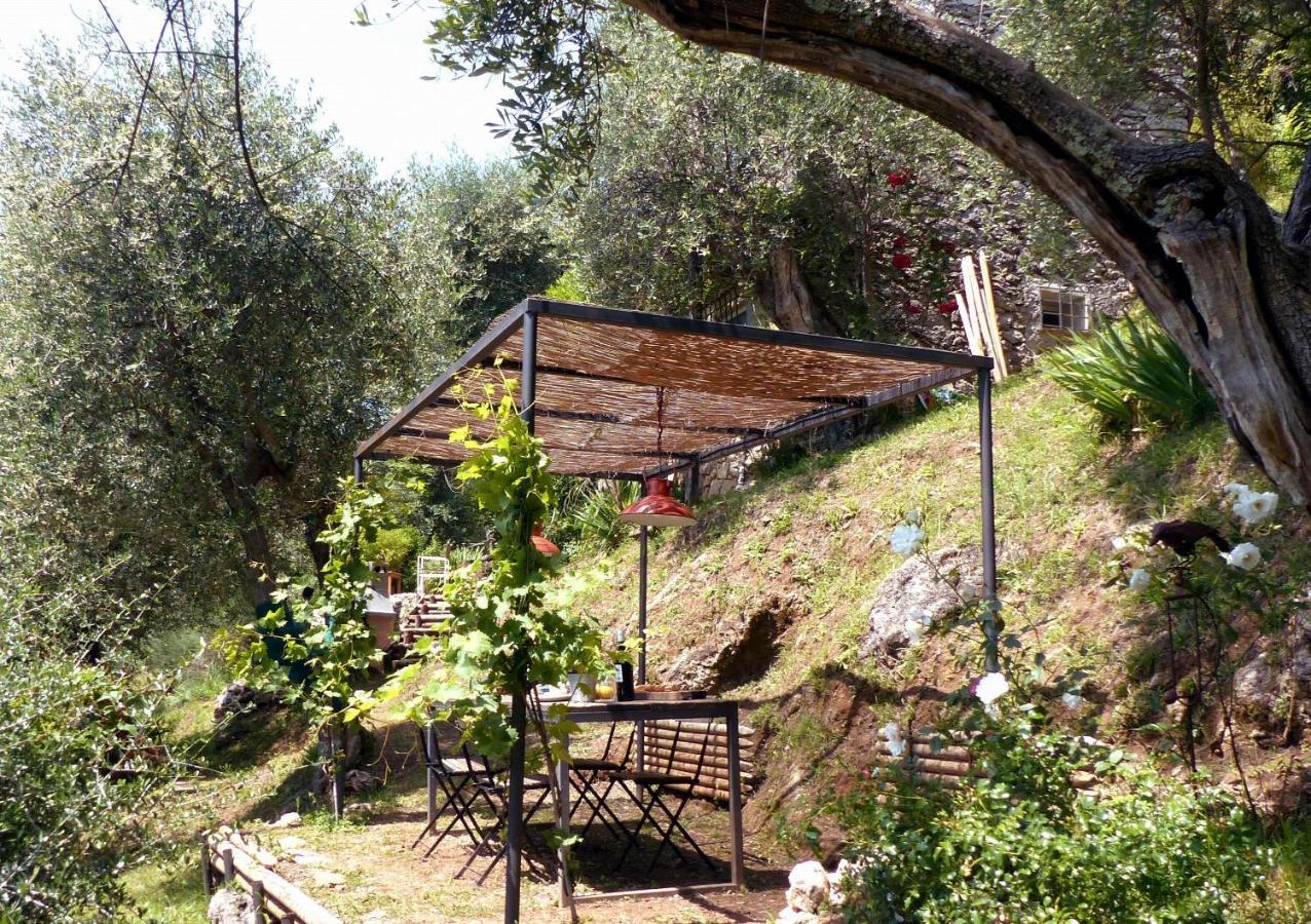 Vila Il Giaggiolo Camaiore Exteriér fotografie