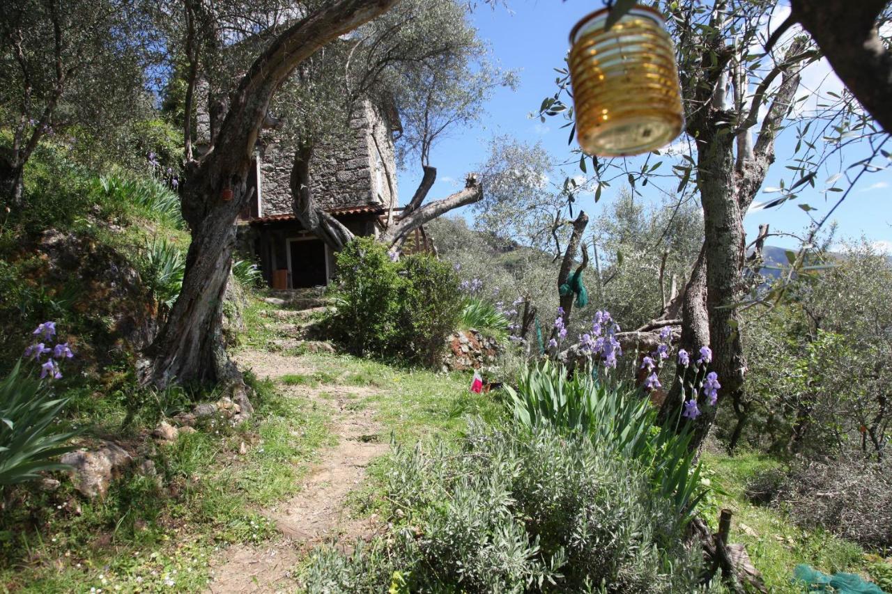 Vila Il Giaggiolo Camaiore Exteriér fotografie