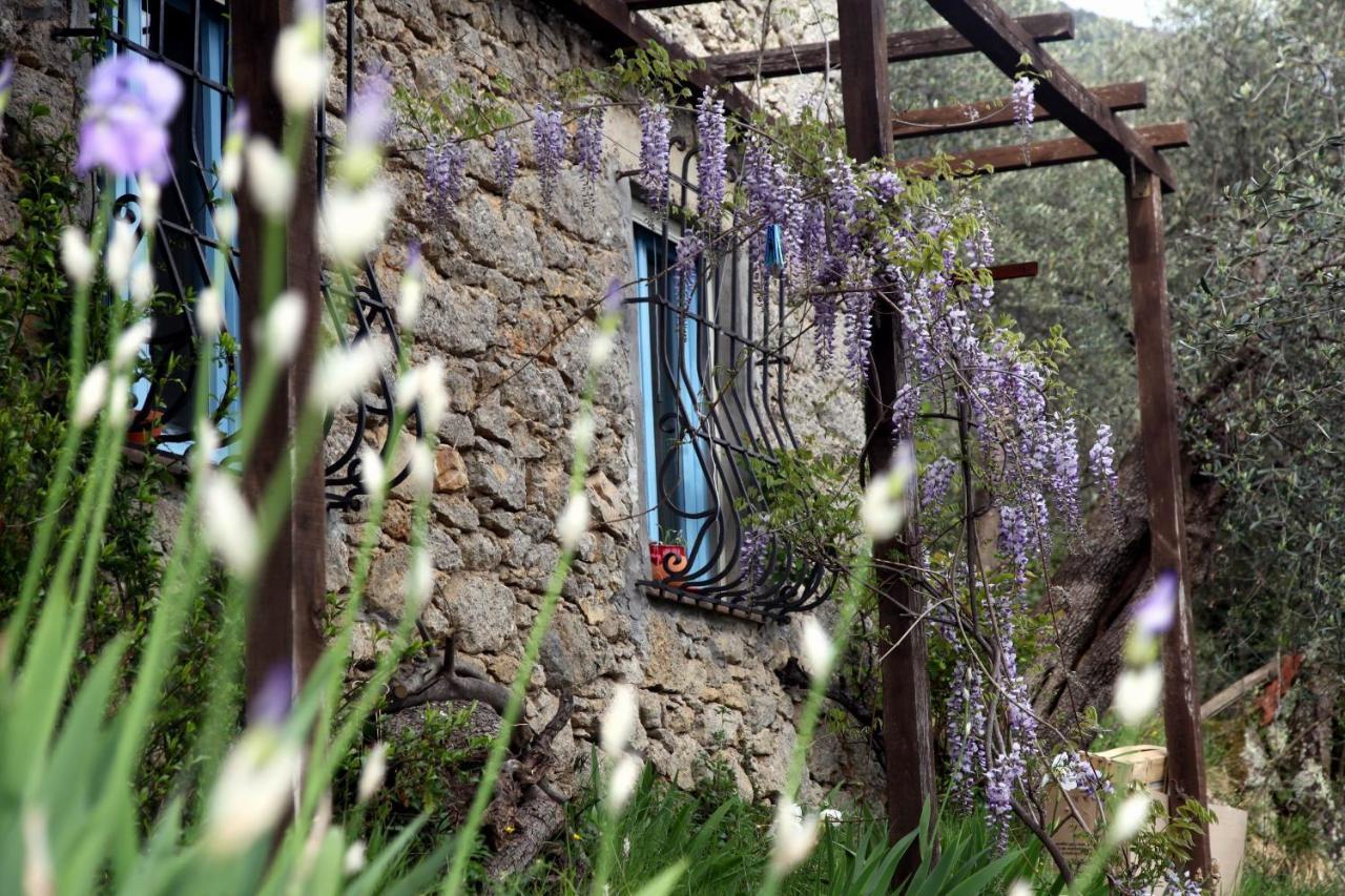 Vila Il Giaggiolo Camaiore Exteriér fotografie