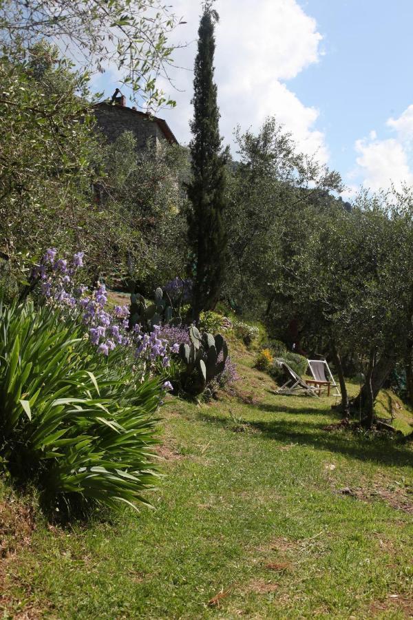 Vila Il Giaggiolo Camaiore Exteriér fotografie