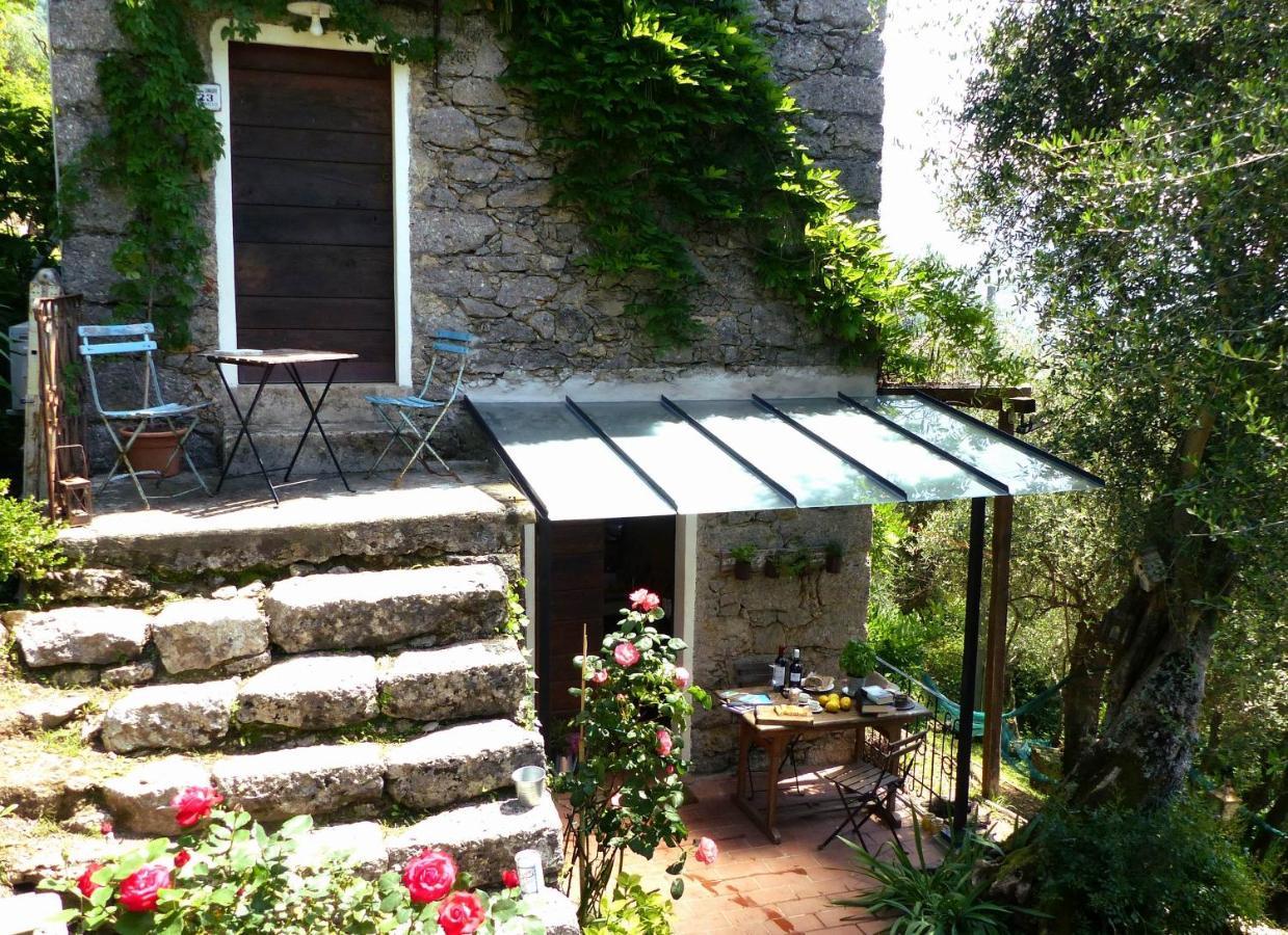 Vila Il Giaggiolo Camaiore Exteriér fotografie